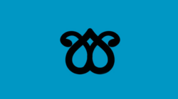 پرچم قرا قویونلو ها